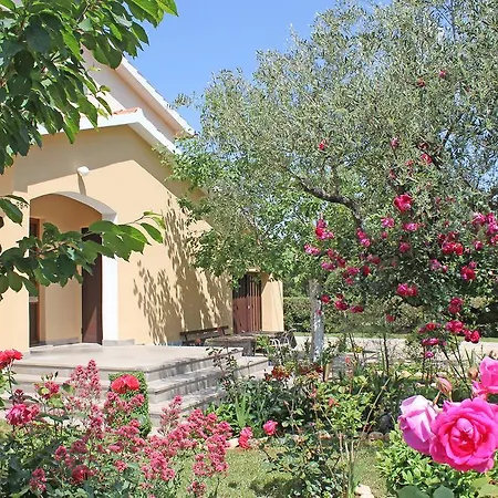 Teklic 3* Ρόβινι